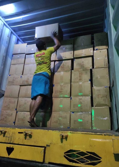 WhatsApp Image 2025-03-05 at 1.47.28 PM